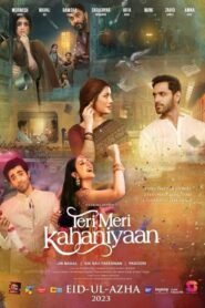 Download Teri Meri Kahaniyaan (2023) Urdu 480p HDRip x264 AAC Full Pakistani Movie [400MB]