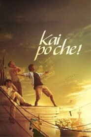 Download Kai Po Che (2013) Hindi 480p BluRay x264 AAC ESubs Full Bollywood Movie [400MB