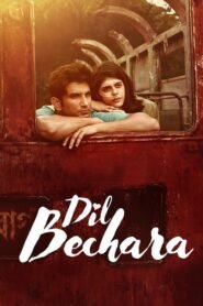 Dil Bechara – Download Dil Bechara (2020) Hindi 720p HEVC BluRay x265 AAC ESubs Full Bollywood Movie [550MB]